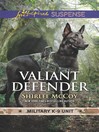 Cover image for Valiant Defender